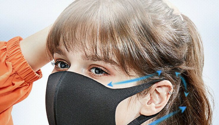 9pcs Regular Size Dim Pitta Conceal Darkish Grey Japan Anti-Pollution/Dust Face Conceal