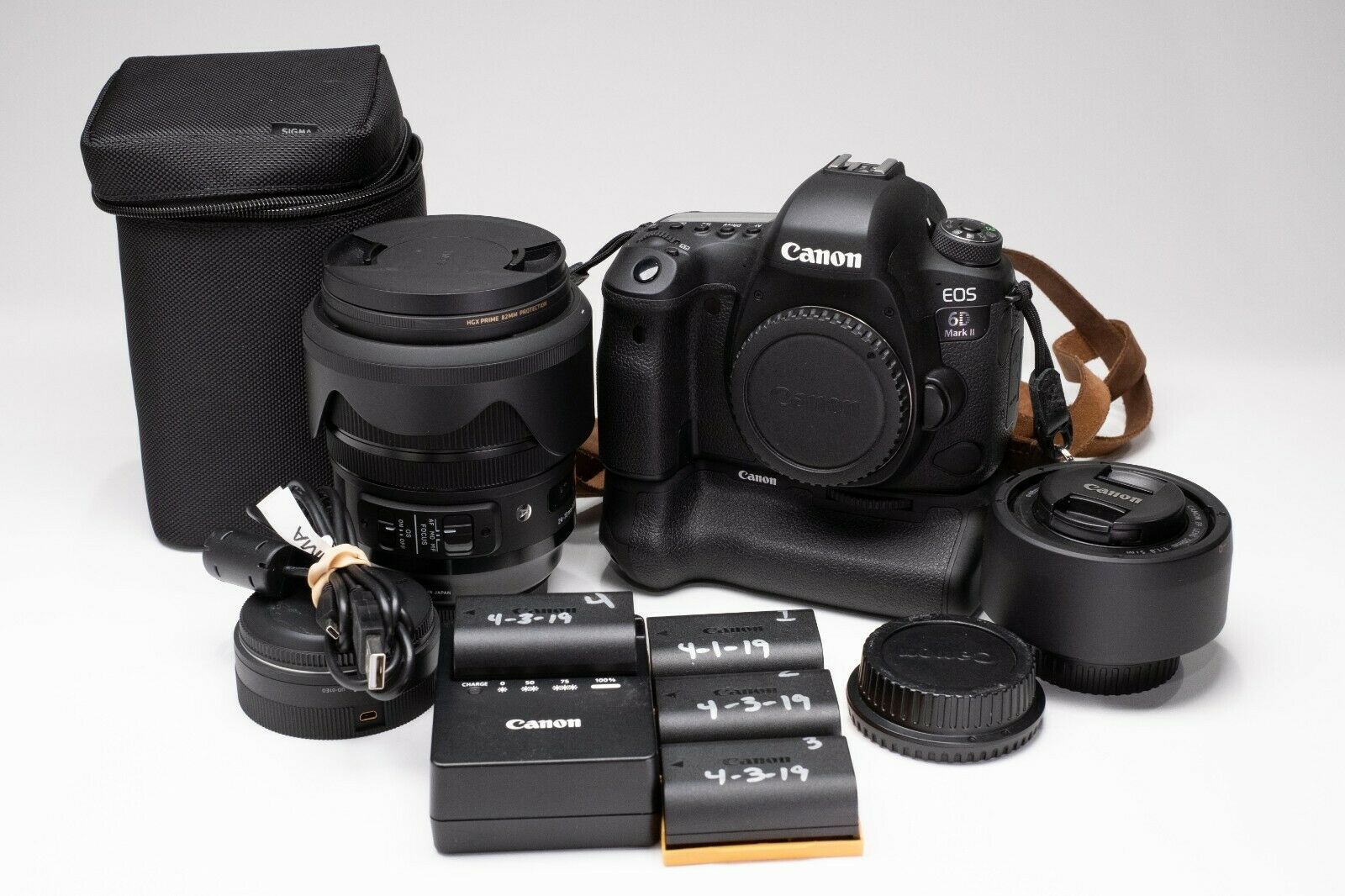 Canon EOS 6D Mark II, Grip, Batteries, Sigma Art 24-70 f2.8 + Nifty Fifty lens - iCommerce on Web