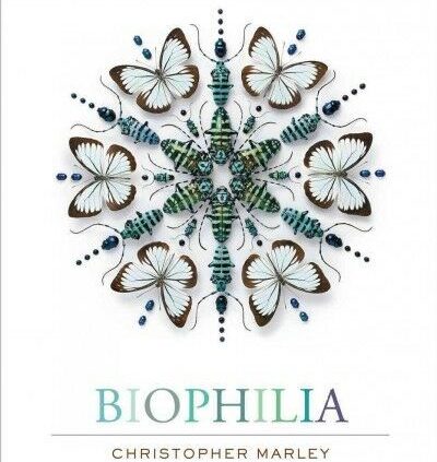 Biophilia, Hardcover by Marley, Christopher, Brand Contemporary, Free shipping within the US