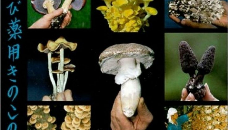 Increasing connoisseur And Medicinal Mushrooms: A Partner Recordsdata To Mushrooms