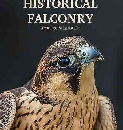 Ancient Falconry : An Illustrated Handbook, Paperback by Stewart, Helen; Stew…