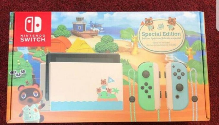 Nintendo Switch Animal Crossing: Fresh Horizon Special Model