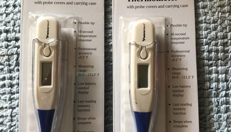 NEW 2 x Successfully being Crew Digital Thermometers #HT1856-1