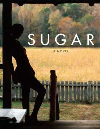 SUGAR by Bernice L McFadden FREE SHIPPING paperback ebook a wonderful modern!