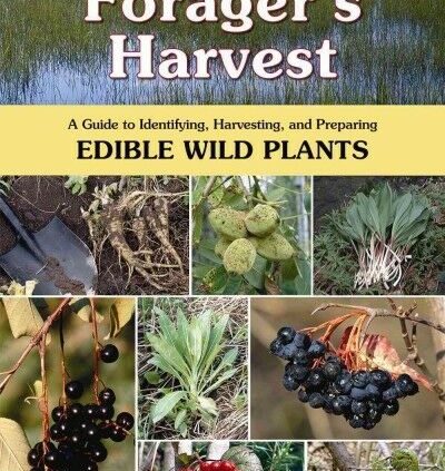 Forager’s Harvest : A Handbook to Figuring out, Harvesting, And Making ready Suitable for eating …