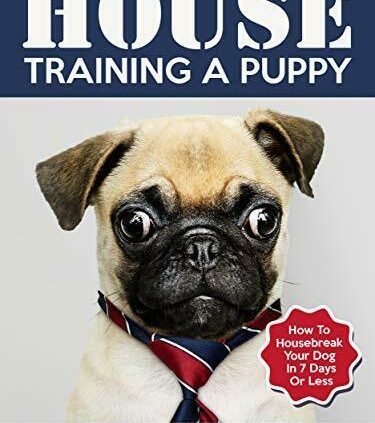 Housetrain Any Dogs In 7 Days pdf-guide+MRR+Free Shipping+Bonus books