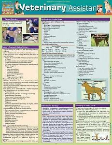Veterinary Assistant: By Inc. BarCharts