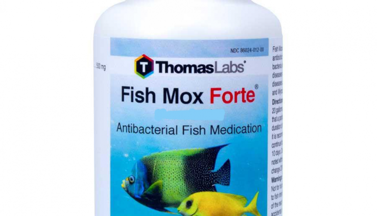 Fish Mox Forte 500mg Fish Aquarium Therapy 30 100 Count Thomas Labs