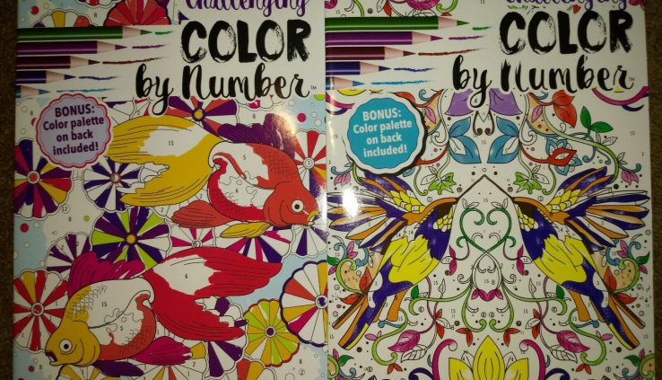 2 Original Grownup Coloring Books Color by Number Lot of 2 Diversified Photos