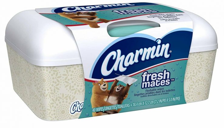 Charmin Freshmates Flushable Wipes 40 Depend – with Refillable Bathtub
