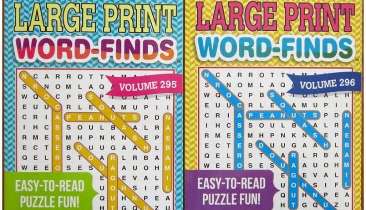 Lot of 2 Large Print Note Search Score Hunt Puzzle Books