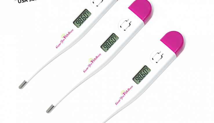 USA LOT x3 Digital Thermometer Scientific Oral Physique Fever Toddler Adult Adolescence Basal BBT