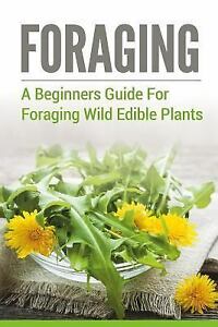 Foraging : A Inexperienced persons E-book to Foraging Wild Fit to be eaten Vegetation, Paperback by Chicken…