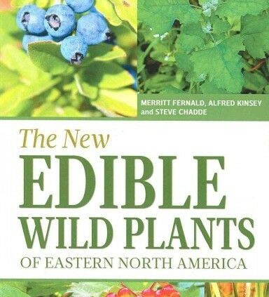 Current Edible Wild Vegetation of Eastern North America : A Self-discipline Handbook to Edible (An…