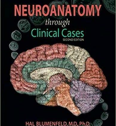 Neuroanatomy by Clinical Situations 2nd Version *P.D.F*