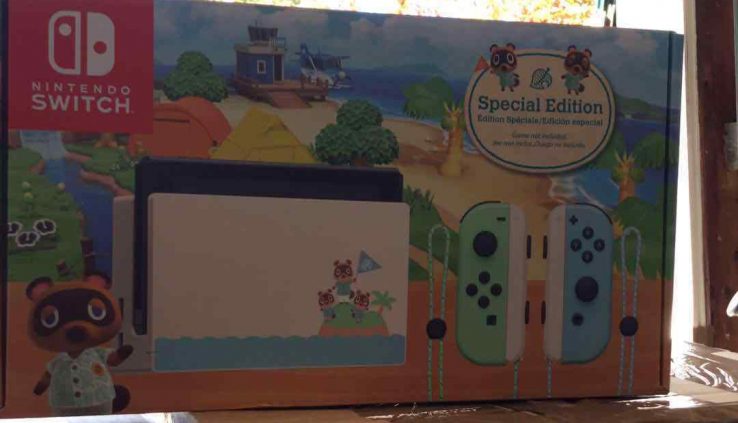 Label Current Nintendo Swap Console Animal Crossing Current Horizons Version