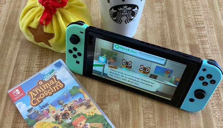 Nintendo Swap Console – Animal Crossing Unique Horizons Edition – READY TO SHIP