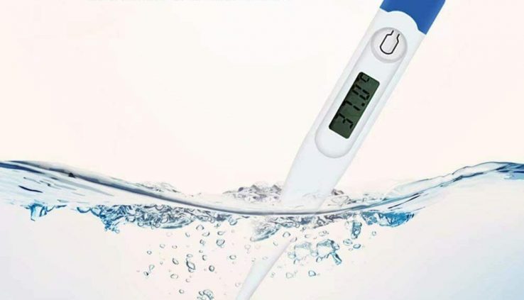 1PCS Oral Digital LCD Thermometer Scientific Family Runt one Body Safe US STOCK