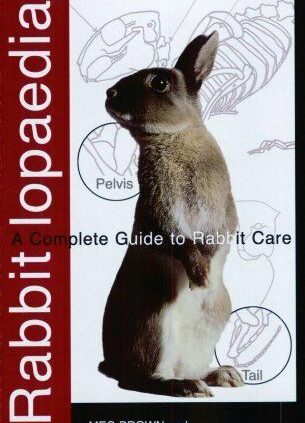 Rabbitlopaedia: A Full Records to Rabbit Care (Full Records To… (Ringpres