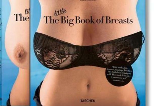 The Tiny Gigantic Book of Breasts by Dian Hanson: Contemporary