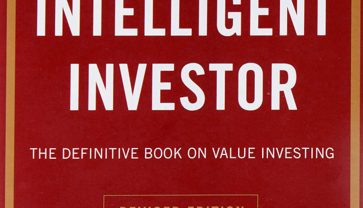 The Vivid Investor: The Definitive Guide on Trace Investing E.B.O.OK[P.D.F]