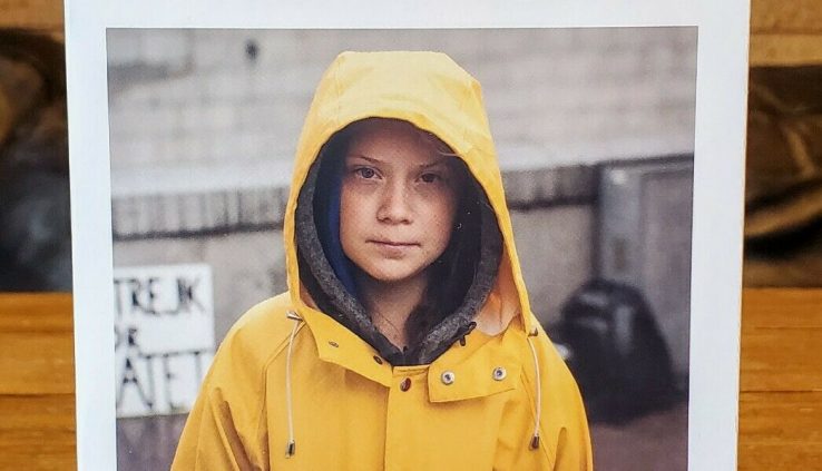 No One Is Too Tiny to Manufacture a Difference | Greta Thunberg Paperback NEW 2019