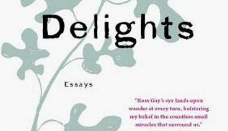 The E book of Delights Essays by Ross Homosexual