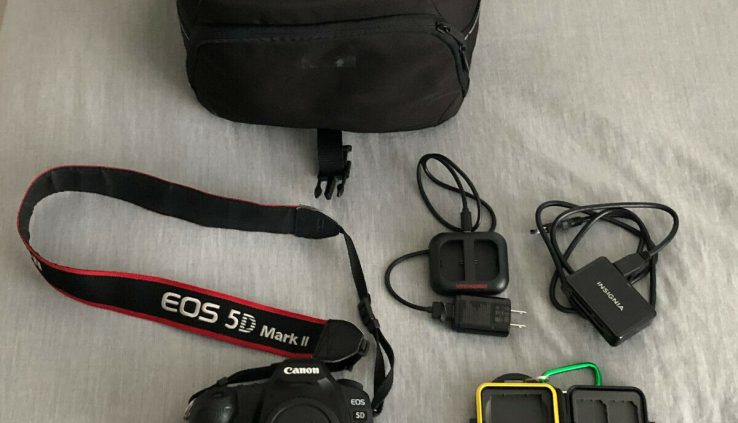 Canon EOS 5D Tag II mk2 physique with extras, low shutter depend!
