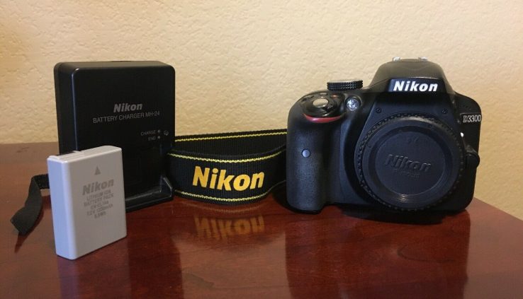 Nikon D3300 24.2 MP Digital DSLR Digicam Gorgeous