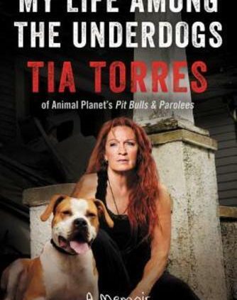 My Lifestyles Among the many Underdogs: A Memoir by Tia Torres: Novel