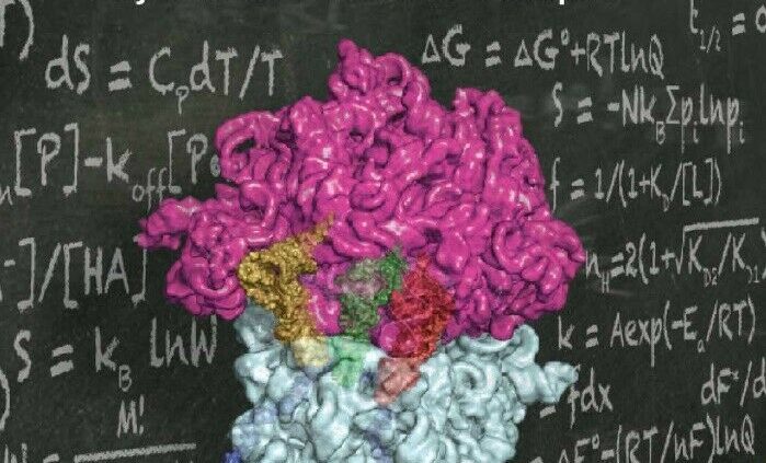 The Molecules of Existence – Physical and Chemical Guidelines