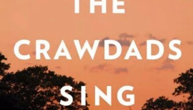 Where the Crawdads Articulate by Delia Owens – 2018 [p-d-f, epub] Sizable Hasty Supply