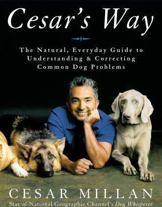 Cesar’s Formula by Cesar Millan hardcover book FREE SHIPPING Canine pup practicing