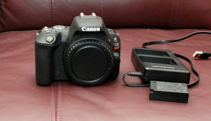 Canon EOS Rebellion SL2 24.2 MP SL-2 Digital Digicam DSLR Black SLR Physique