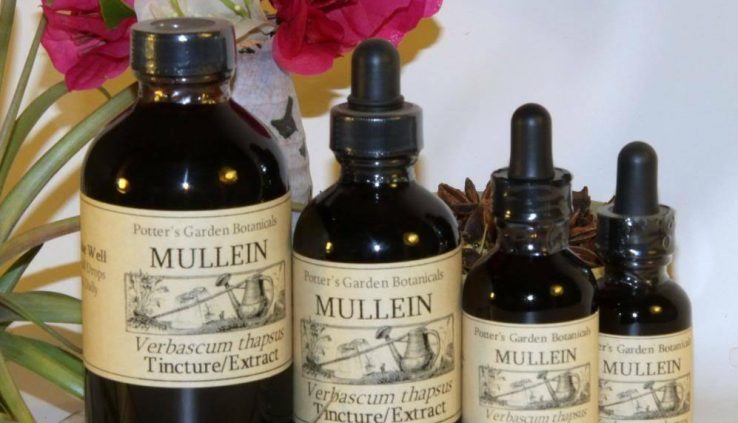 MULLEIN Extract Glorious Lung Pulmonary Fortify ORGANIC ~ Folks Solve Tincture ~
