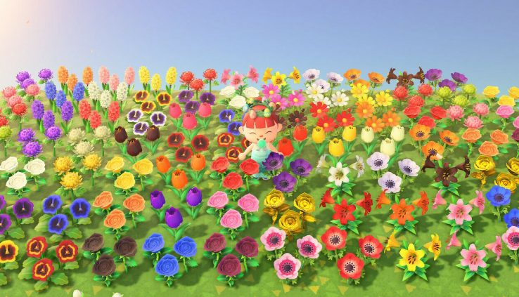 Animal Crossing New Horizons ALL FLOWER BUDS Rose Cosmo Tulip Pansy Hyacinth