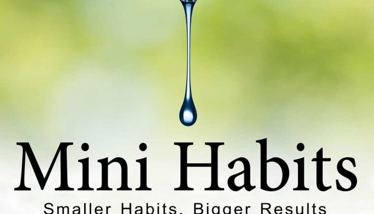 mini habits smaller habits bigger results by stephen guise