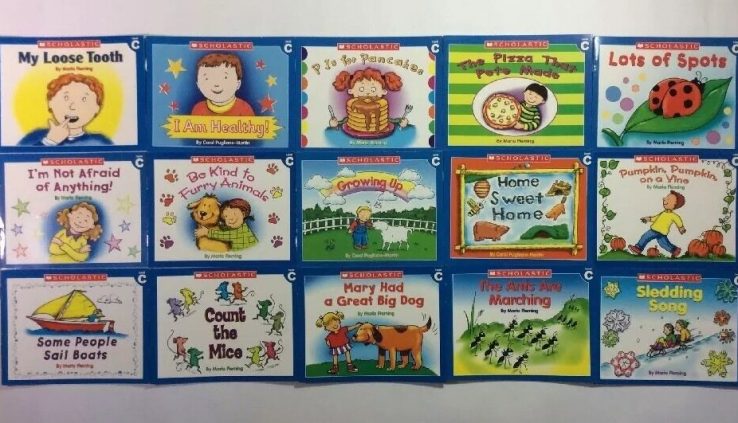 Childrens Books Lot 15 Degree C Easy Readers Be taught to Be taught Guided Reading Place of abode