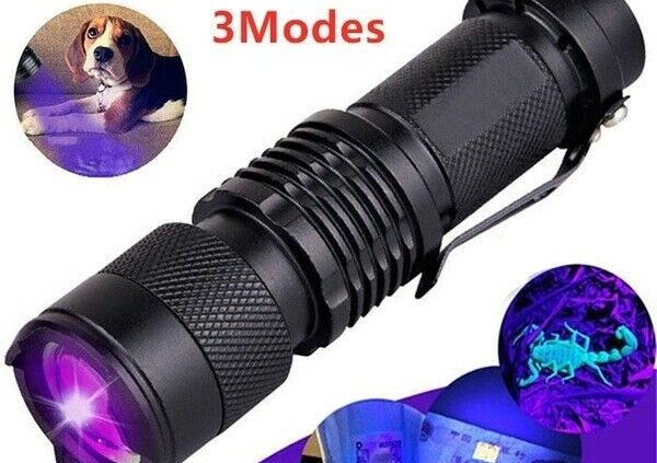 UV Extremely Violet LED Flashlight Blacklight 395nm 365nm Salvage Urine Bodily Fluids