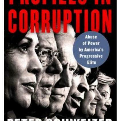 Profiles in Corruption: Abuse of Vitality by Peter Schweizer (2020, Hardcover)