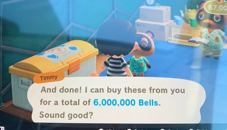 Animal Crossing Contemporary Horizons 💰 6 MILLION BELLS 💰 Nintendo Swap