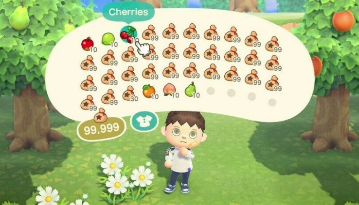 Animal Crossing New Horizons – 3 Million Bells + 10 of every Fruit