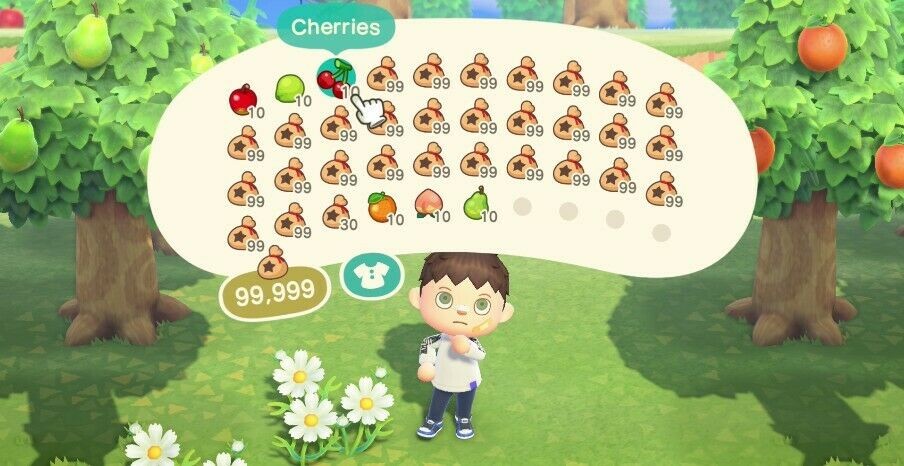 Animal Crossing New Horizons 3 Million Bells + 10 of