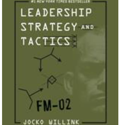 Leadership Strategy and Solutions : Discipline Manual