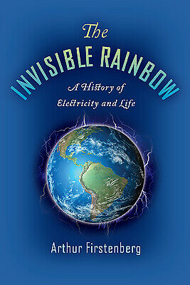 The Invisible Rainbow: A History of Electrical energy and Lifestyles | E-Edition (P.D.F)