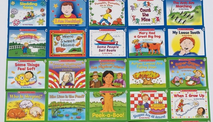 LOT 30 Be taught To Read Easy Reader Books Kindergarten First Grade Ranges C D SET