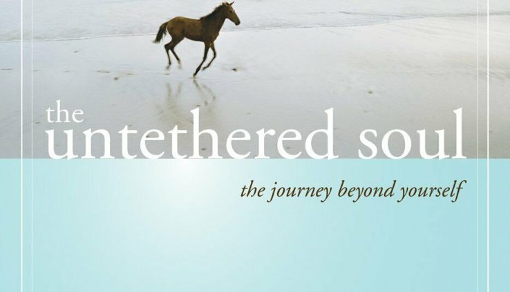 The Untethered Soul by Michael A. Singer (2007, Digitaldown)