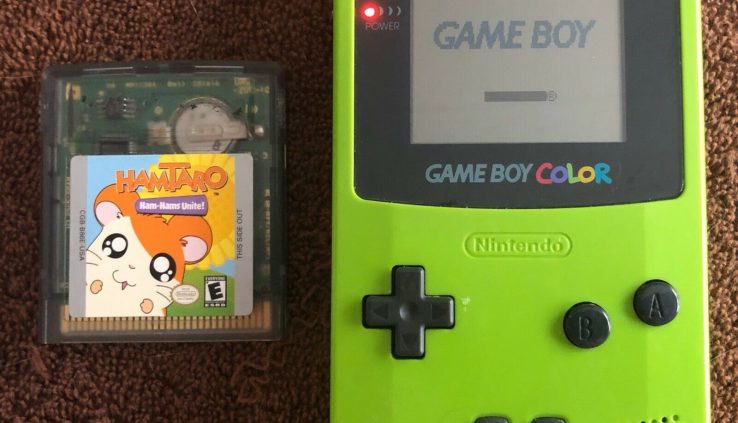 NINTENDO GAMEBOY COLOR GAME SYSTEM LIME GREEN WITH RARE HAMTARO GAME