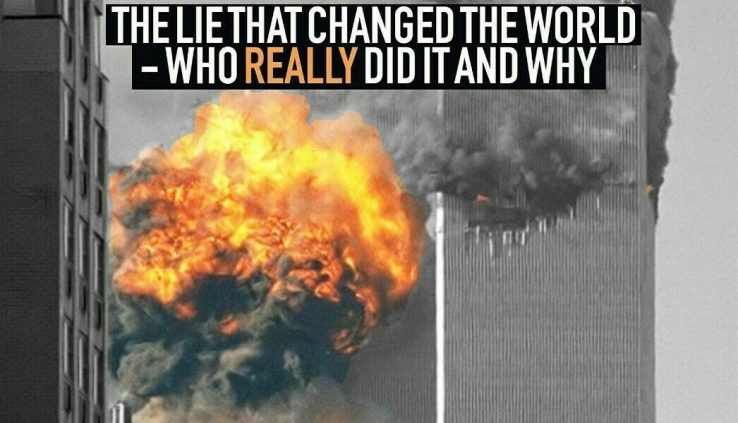 The Pickle off The Lie That Changed the World by David Icke PAPERBACK 2019