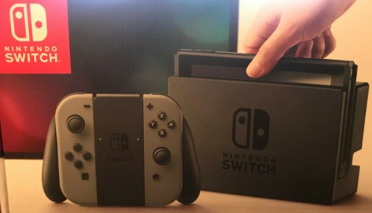 *BANNED BY NINTENDO* hackable customary toddle nintendo switch w/ 64gb sd 